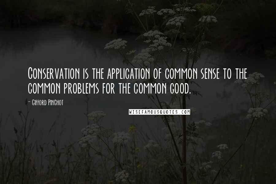 Gifford Pinchot Quotes: Conservation is the application of common sense to the common problems for the common good.