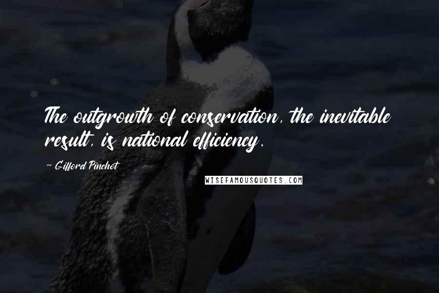 Gifford Pinchot Quotes: The outgrowth of conservation, the inevitable result, is national efficiency.