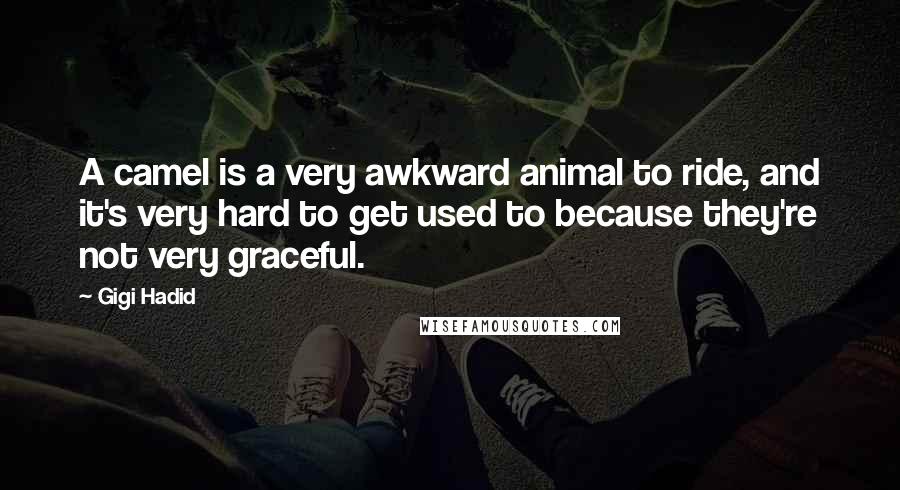 Gigi Hadid Quotes: A camel is a very awkward animal to ride, and it's very hard to get used to because they're not very graceful.