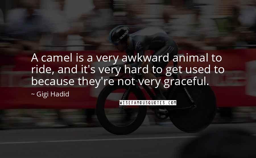 Gigi Hadid Quotes: A camel is a very awkward animal to ride, and it's very hard to get used to because they're not very graceful.