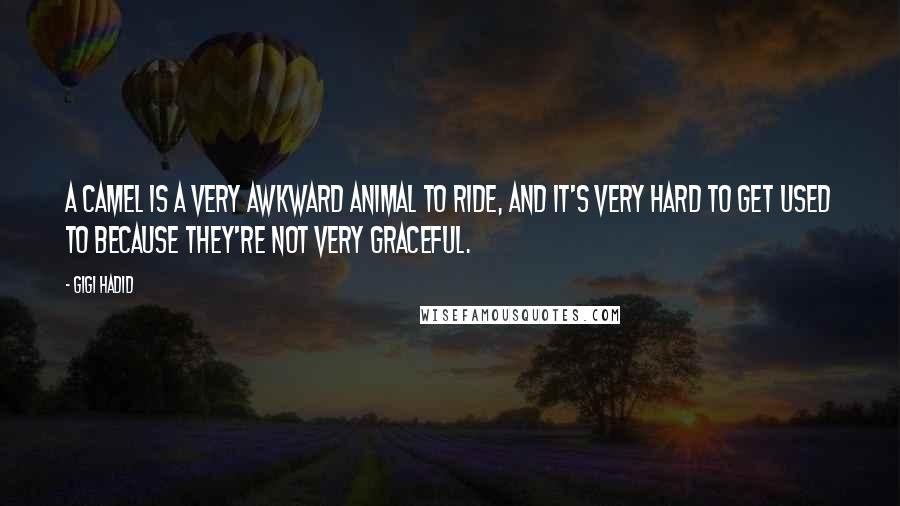 Gigi Hadid Quotes: A camel is a very awkward animal to ride, and it's very hard to get used to because they're not very graceful.