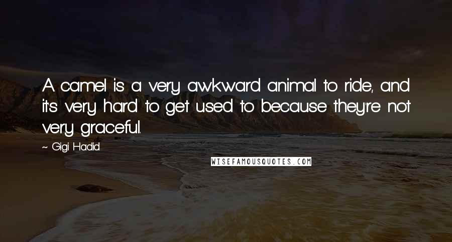 Gigi Hadid Quotes: A camel is a very awkward animal to ride, and it's very hard to get used to because they're not very graceful.