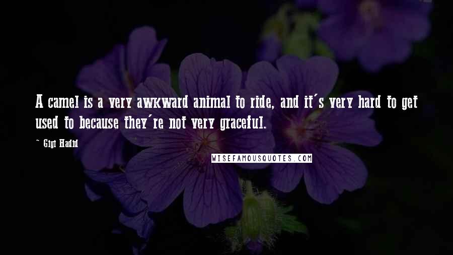 Gigi Hadid Quotes: A camel is a very awkward animal to ride, and it's very hard to get used to because they're not very graceful.