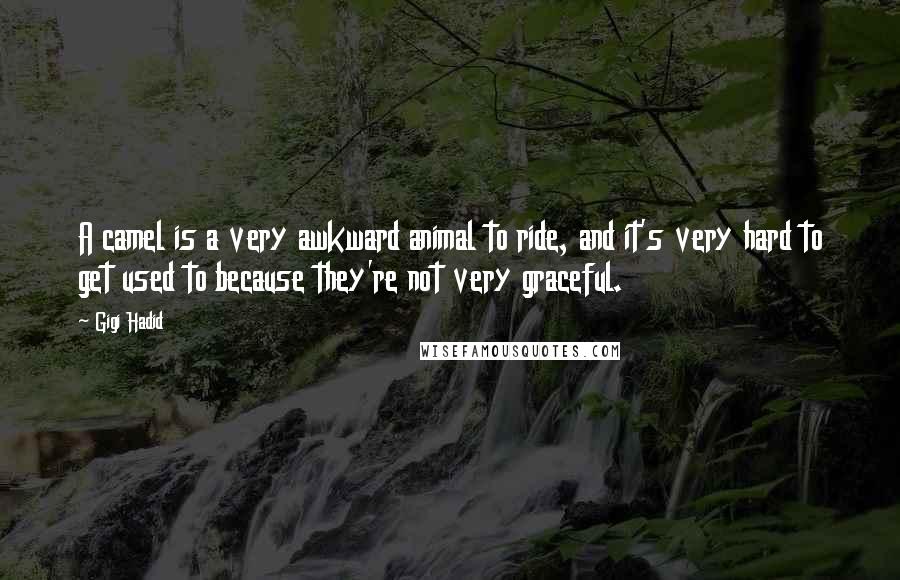 Gigi Hadid Quotes: A camel is a very awkward animal to ride, and it's very hard to get used to because they're not very graceful.