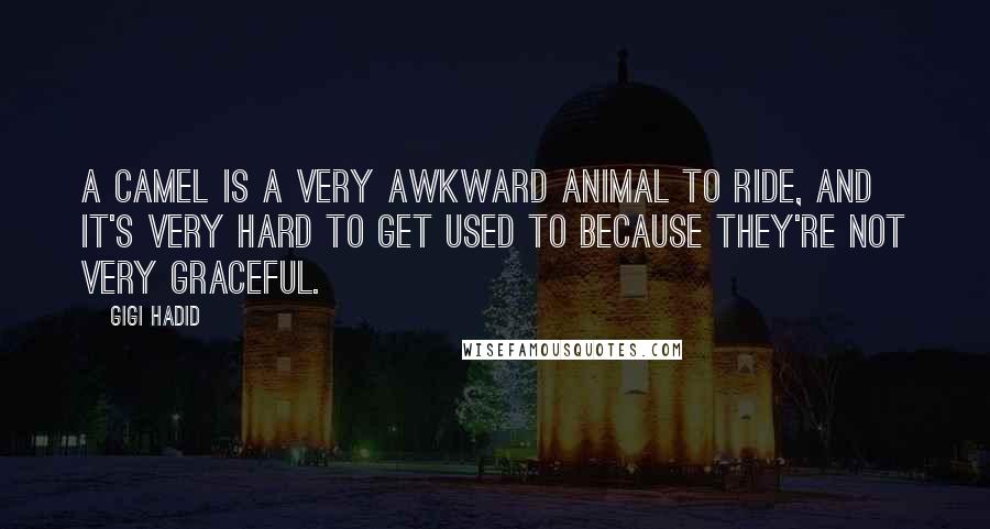 Gigi Hadid Quotes: A camel is a very awkward animal to ride, and it's very hard to get used to because they're not very graceful.