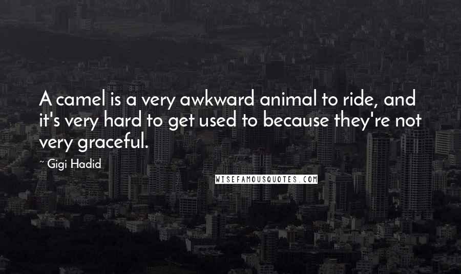 Gigi Hadid Quotes: A camel is a very awkward animal to ride, and it's very hard to get used to because they're not very graceful.