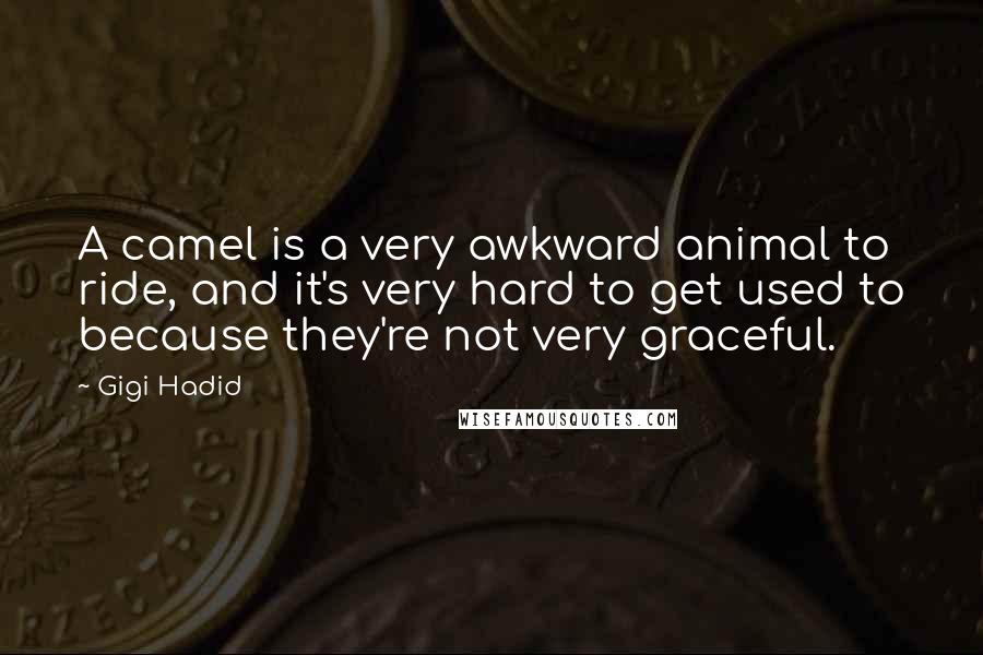 Gigi Hadid Quotes: A camel is a very awkward animal to ride, and it's very hard to get used to because they're not very graceful.
