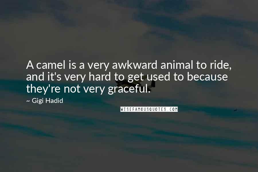 Gigi Hadid Quotes: A camel is a very awkward animal to ride, and it's very hard to get used to because they're not very graceful.