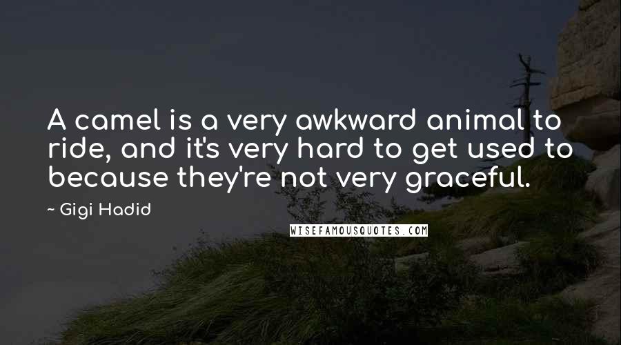 Gigi Hadid Quotes: A camel is a very awkward animal to ride, and it's very hard to get used to because they're not very graceful.