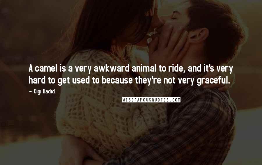 Gigi Hadid Quotes: A camel is a very awkward animal to ride, and it's very hard to get used to because they're not very graceful.