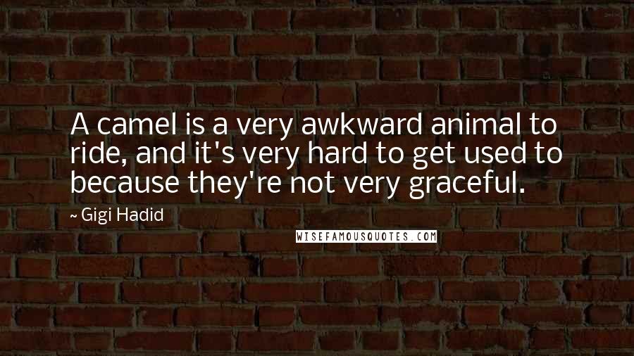 Gigi Hadid Quotes: A camel is a very awkward animal to ride, and it's very hard to get used to because they're not very graceful.