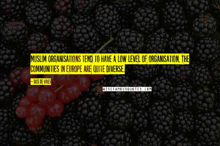 Gijs De Vries Quotes: Muslim organisations tend to have a low level of organisation. The communities in Europe are quite diverse.