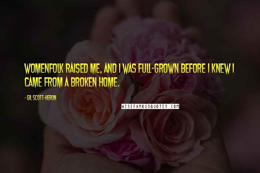 Gil Scott-Heron Quotes: Womenfolk raised me, and I was full-grown before I knew I came from a broken home.