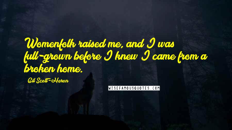 Gil Scott-Heron Quotes: Womenfolk raised me, and I was full-grown before I knew I came from a broken home.