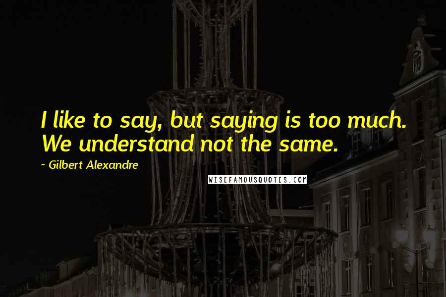 Gilbert Alexandre Quotes: I like to say, but saying is too much. We understand not the same.