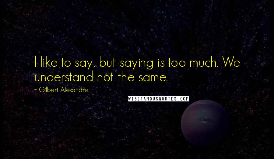 Gilbert Alexandre Quotes: I like to say, but saying is too much. We understand not the same.