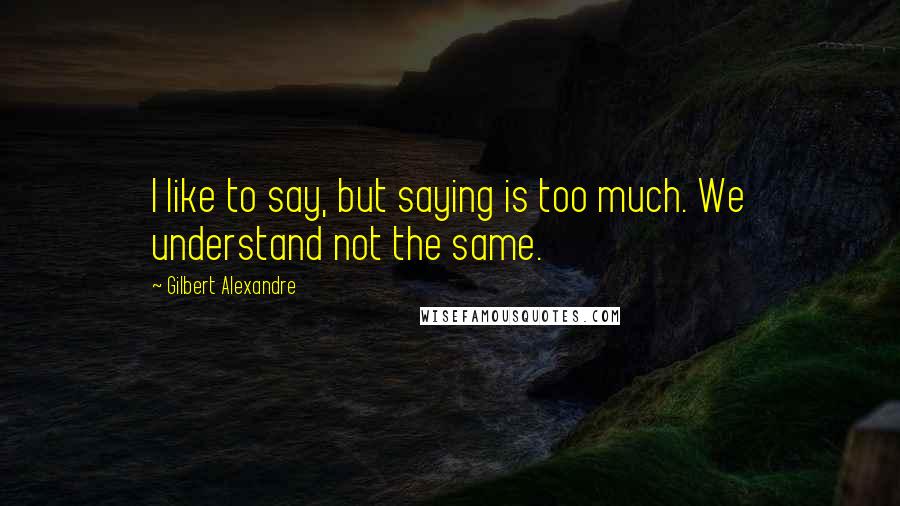 Gilbert Alexandre Quotes: I like to say, but saying is too much. We understand not the same.