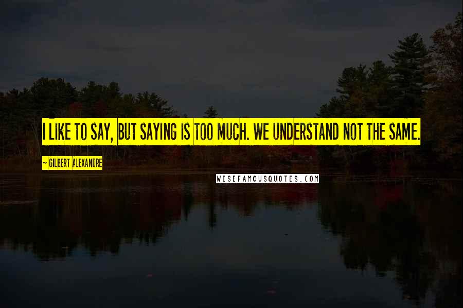 Gilbert Alexandre Quotes: I like to say, but saying is too much. We understand not the same.