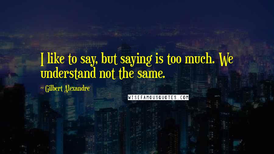 Gilbert Alexandre Quotes: I like to say, but saying is too much. We understand not the same.