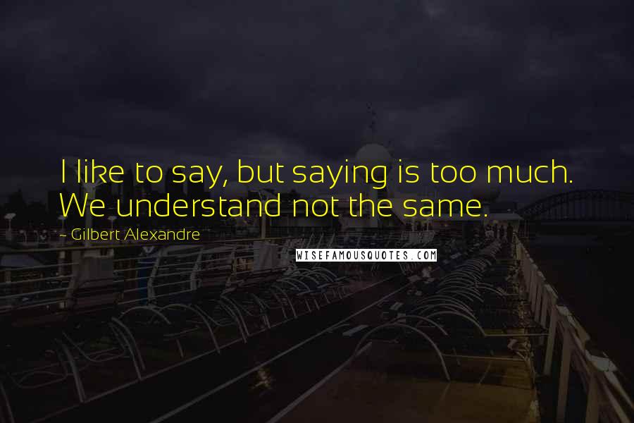 Gilbert Alexandre Quotes: I like to say, but saying is too much. We understand not the same.