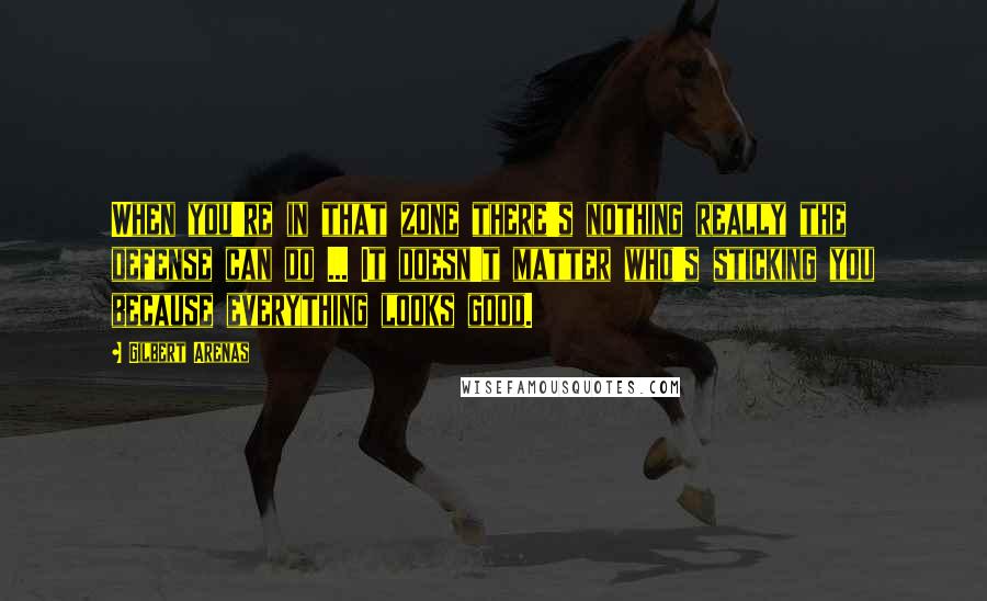 Gilbert Arenas Quotes: When you're in that zone there's nothing really the defense can do ... It doesn't matter who's sticking you because everything looks good.
