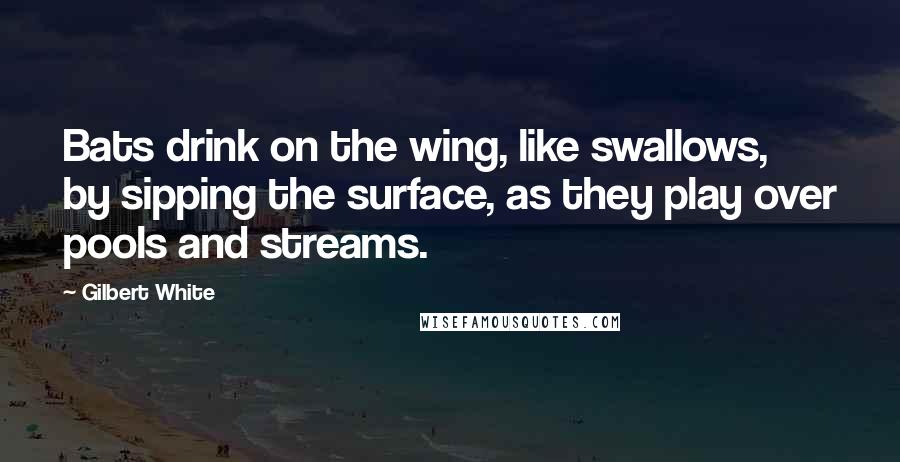 Gilbert White Quotes: Bats drink on the wing, like swallows, by sipping the surface, as they play over pools and streams.