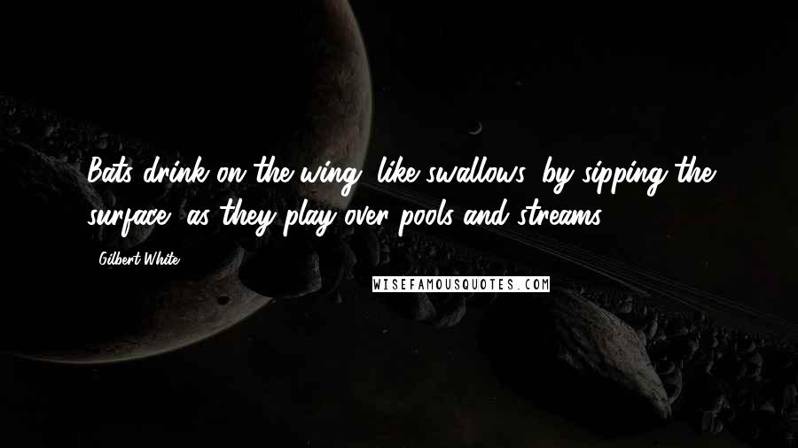 Gilbert White Quotes: Bats drink on the wing, like swallows, by sipping the surface, as they play over pools and streams.