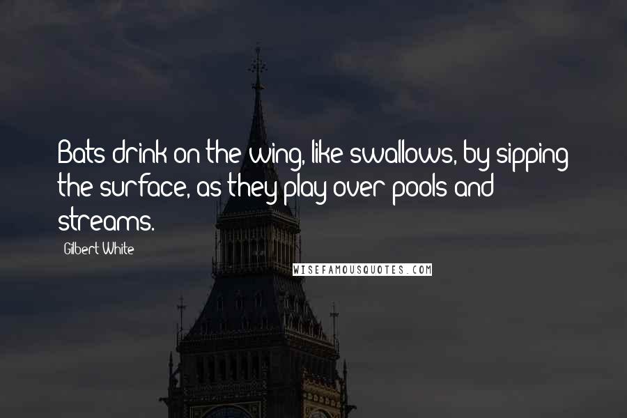 Gilbert White Quotes: Bats drink on the wing, like swallows, by sipping the surface, as they play over pools and streams.