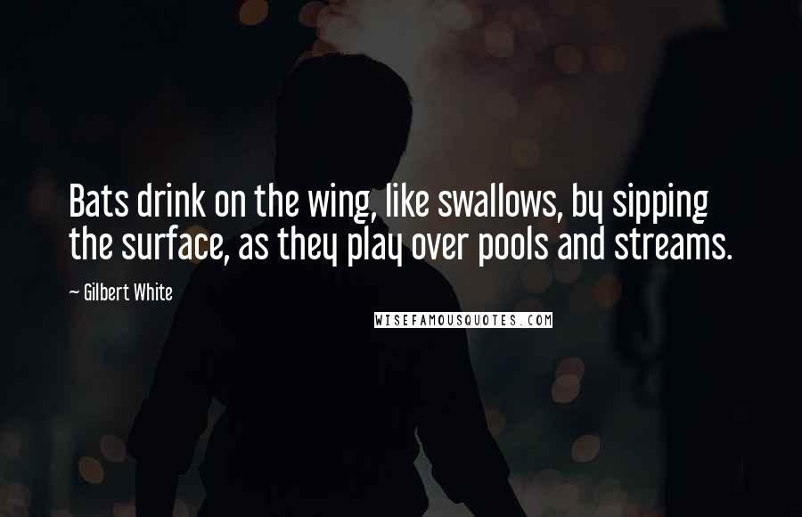 Gilbert White Quotes: Bats drink on the wing, like swallows, by sipping the surface, as they play over pools and streams.