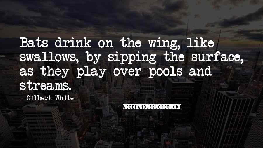Gilbert White Quotes: Bats drink on the wing, like swallows, by sipping the surface, as they play over pools and streams.