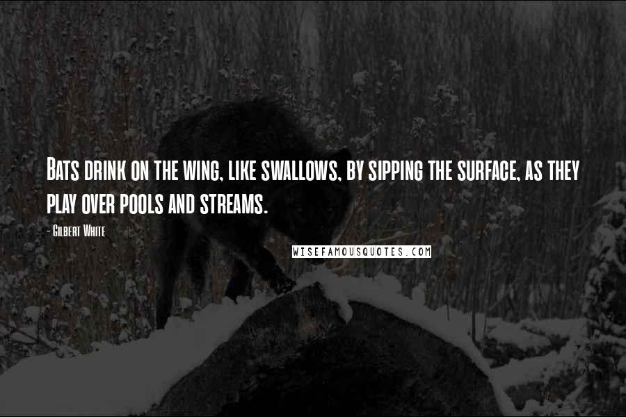 Gilbert White Quotes: Bats drink on the wing, like swallows, by sipping the surface, as they play over pools and streams.