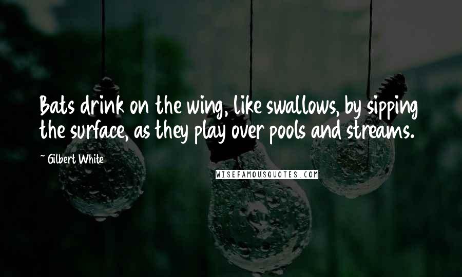 Gilbert White Quotes: Bats drink on the wing, like swallows, by sipping the surface, as they play over pools and streams.