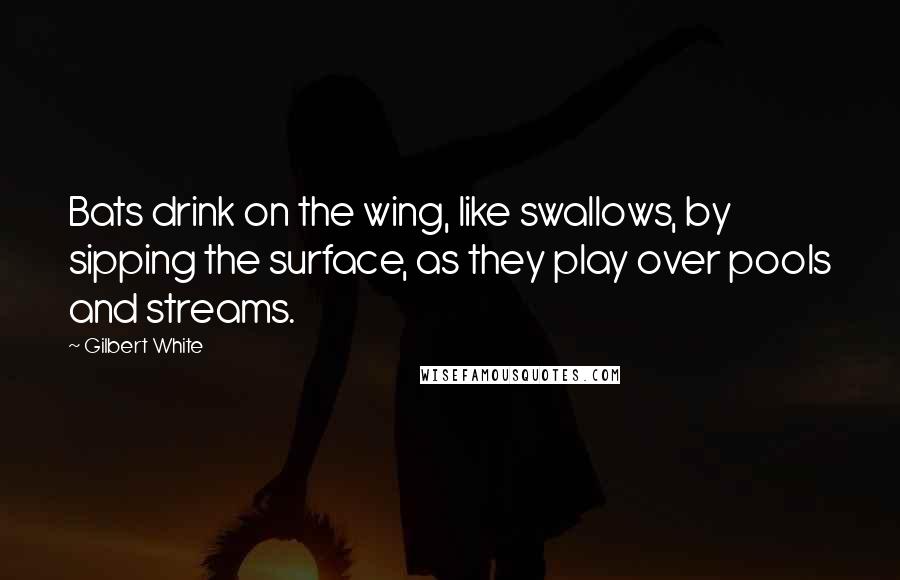 Gilbert White Quotes: Bats drink on the wing, like swallows, by sipping the surface, as they play over pools and streams.