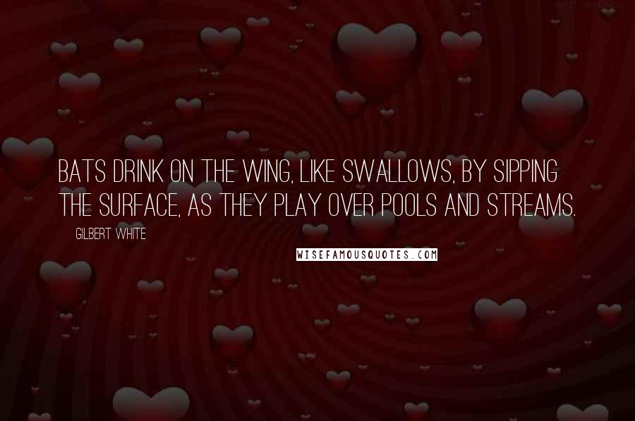 Gilbert White Quotes: Bats drink on the wing, like swallows, by sipping the surface, as they play over pools and streams.