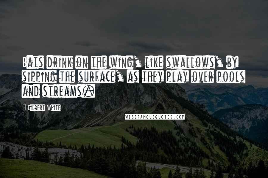 Gilbert White Quotes: Bats drink on the wing, like swallows, by sipping the surface, as they play over pools and streams.