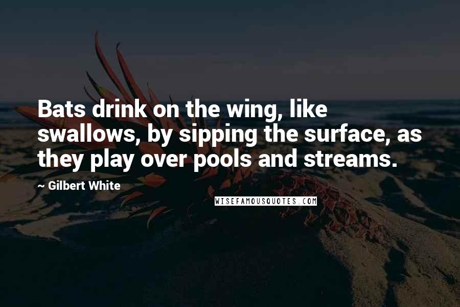 Gilbert White Quotes: Bats drink on the wing, like swallows, by sipping the surface, as they play over pools and streams.