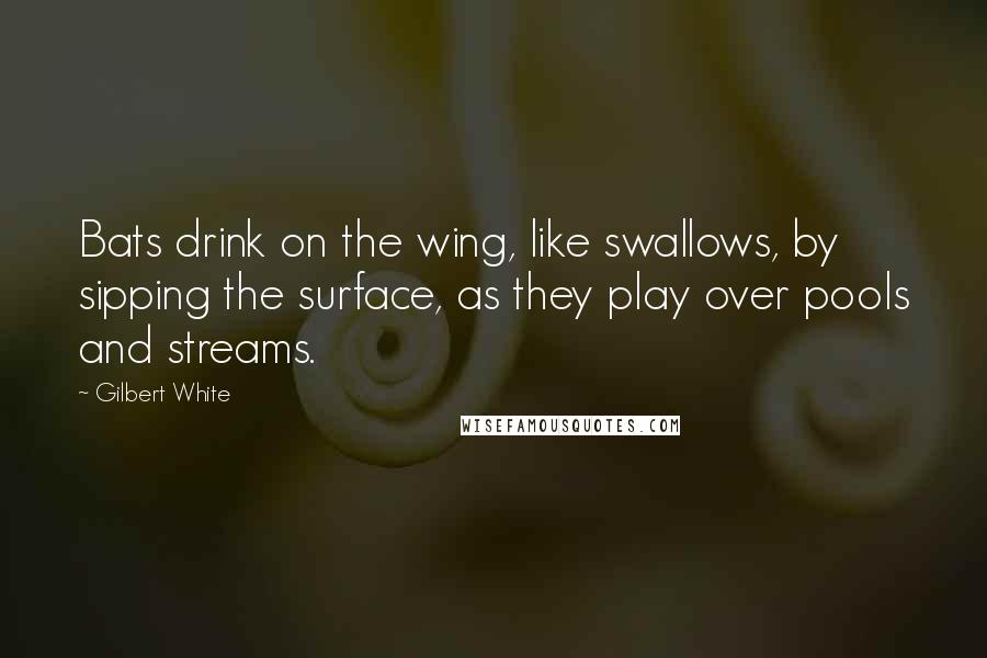 Gilbert White Quotes: Bats drink on the wing, like swallows, by sipping the surface, as they play over pools and streams.