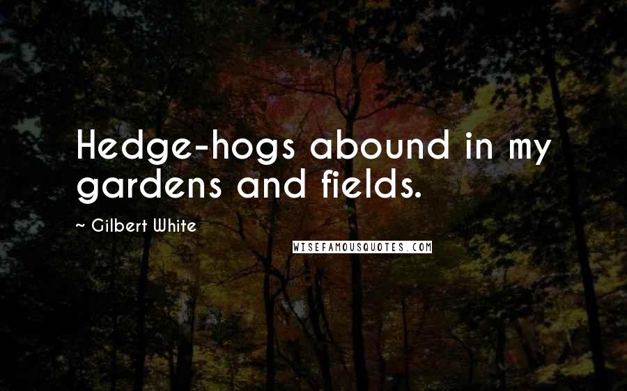 Gilbert White Quotes: Hedge-hogs abound in my gardens and fields.