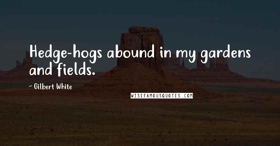 Gilbert White Quotes: Hedge-hogs abound in my gardens and fields.