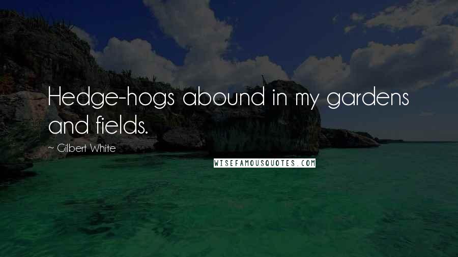 Gilbert White Quotes: Hedge-hogs abound in my gardens and fields.