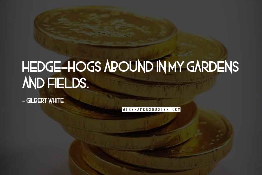 Gilbert White Quotes: Hedge-hogs abound in my gardens and fields.