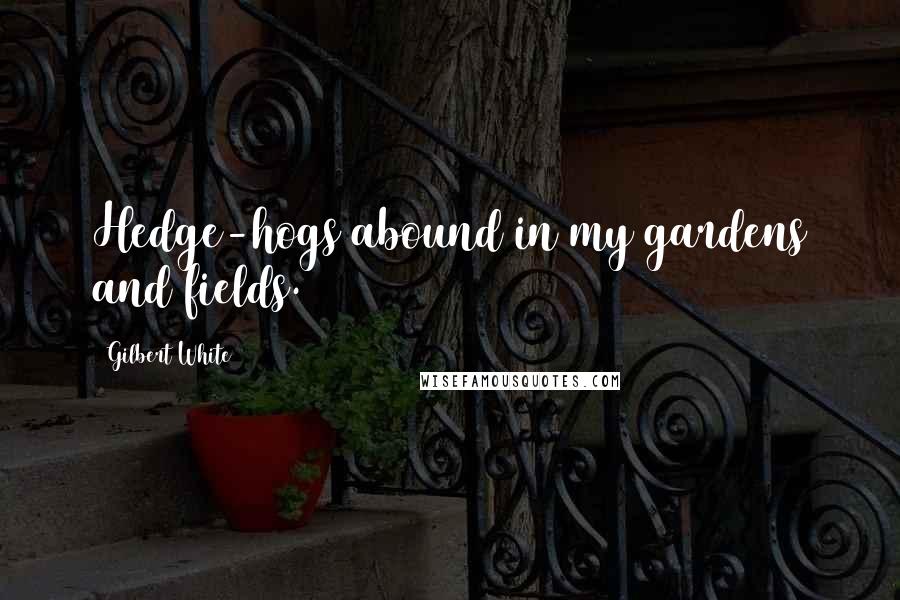 Gilbert White Quotes: Hedge-hogs abound in my gardens and fields.