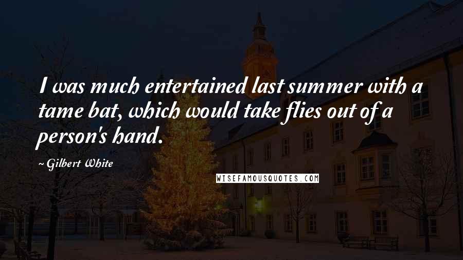 Gilbert White Quotes: I was much entertained last summer with a tame bat, which would take flies out of a person's hand.