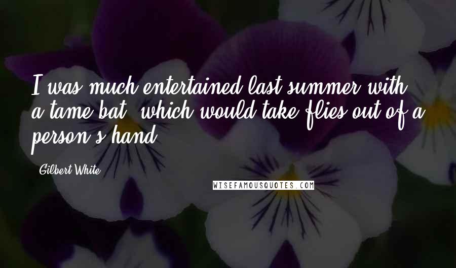 Gilbert White Quotes: I was much entertained last summer with a tame bat, which would take flies out of a person's hand.