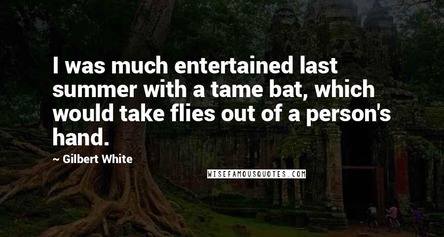 Gilbert White Quotes: I was much entertained last summer with a tame bat, which would take flies out of a person's hand.