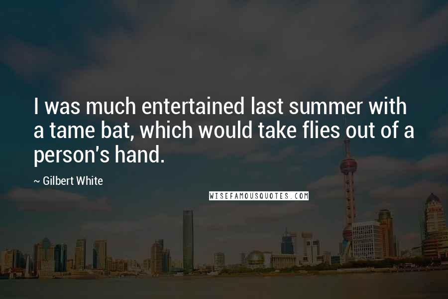 Gilbert White Quotes: I was much entertained last summer with a tame bat, which would take flies out of a person's hand.