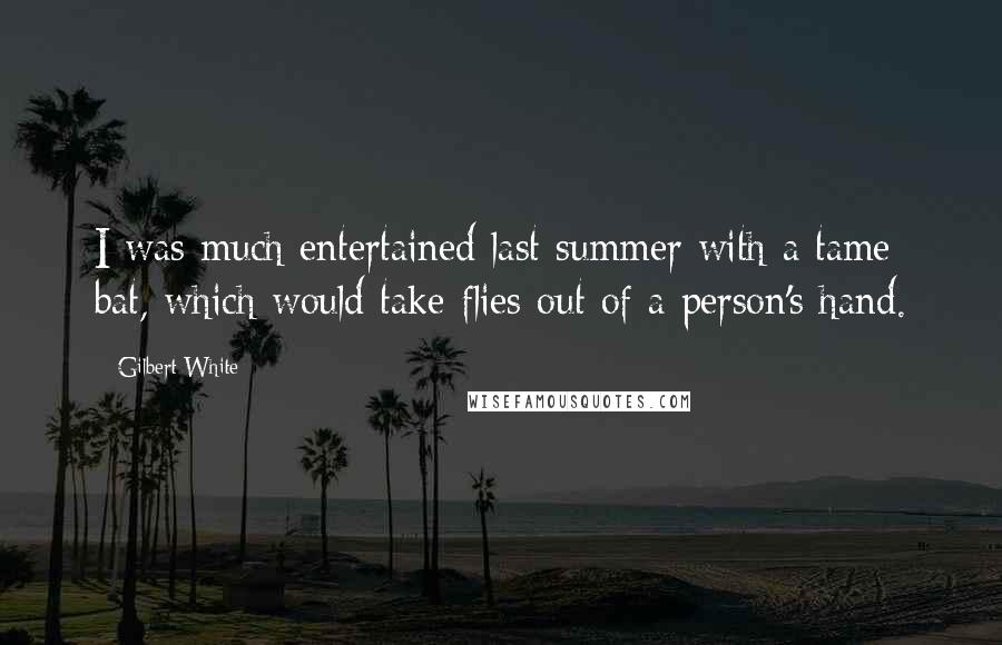 Gilbert White Quotes: I was much entertained last summer with a tame bat, which would take flies out of a person's hand.