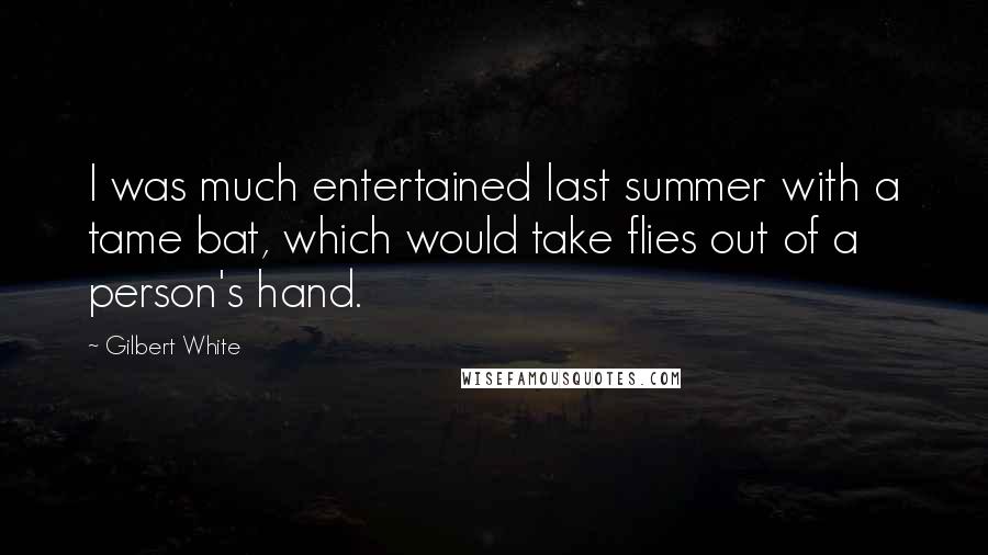 Gilbert White Quotes: I was much entertained last summer with a tame bat, which would take flies out of a person's hand.