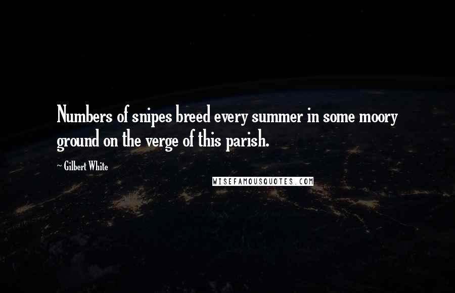 Gilbert White Quotes: Numbers of snipes breed every summer in some moory ground on the verge of this parish.