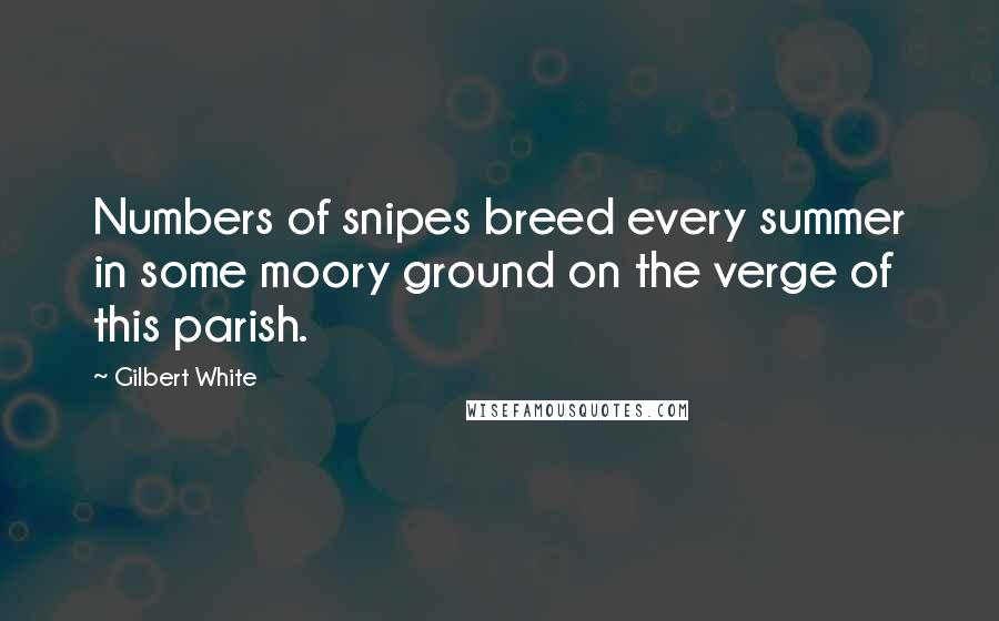 Gilbert White Quotes: Numbers of snipes breed every summer in some moory ground on the verge of this parish.